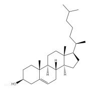 百度百科膽固醇