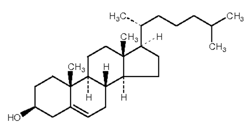 膽固醇