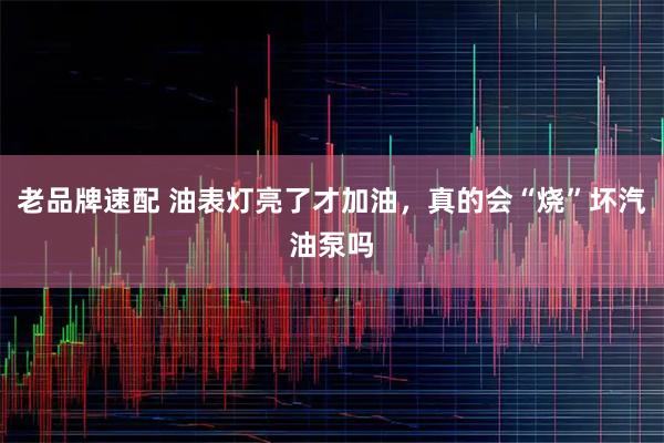 老品牌速配 油表灯亮了才加油，真的会“烧”坏汽油泵吗