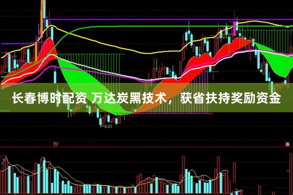 长春博时配资 万达炭黑技术，获省扶持奖励资金